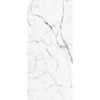 Douglas & Jones Vloertegel 120x280 cm Magnum Glans Or - Vloertegel 120x280 cm Magnum Glans Or (prijs Per Tegel)