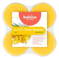 Bolsius Maxilichten Clear Cup 8u True Scents Mimosa