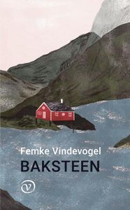 Baksteen - Femke Vindevogel - ebook