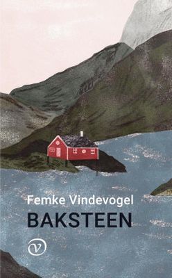Baksteen - Femke Vindevogel - ebook