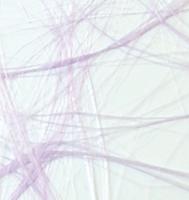 Vaessen Creative • sizoweb 25mx30cm lavendel