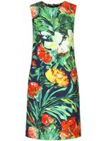 Dolce & Gabbana Bloom-print midi dress - Vert