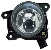 Mistlamp rechts 195425052