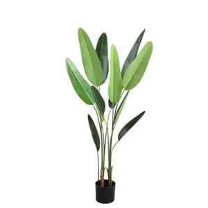 PTMD Tree Green leaf ravenala in black pot S