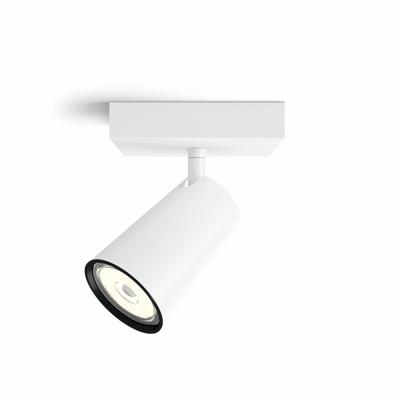Philips SpotlampPaisley wit - 5057131PN