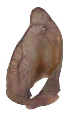 PETSNACK VARKENSOREN