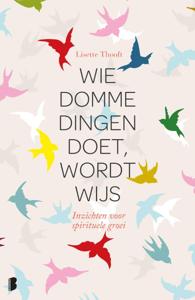 Wie domme dingen doet wordt wijs (Hardback)