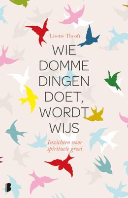 Wie domme dingen doet wordt wijs (Hardback)