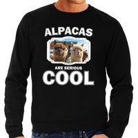 Dieren alpaca sweater zwart heren - alpacas are cool trui