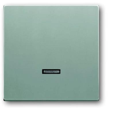 Busch-Jaeger 6543-83-101 Ingangsmodule Zonder opdruk Aluminium, Witaluminium (RAL 9006) 1 stuk(s)