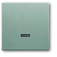 Busch-Jaeger 6543-83-101 Ingangsmodule Zonder opdruk Aluminium, Witaluminium (RAL 9006) 1 stuk(s)