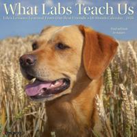 What Labs Teach Us Kalender 2026