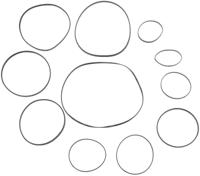 SRAM stealth ring set