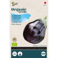 Buzzy - Organic Aubergine Black Beauty (BIO)