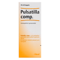 Heel Pulsatilla Comp. Druppels - thumbnail