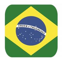 15x stuks Bierviltjes Braziliaanse vlag - vierkant - Brazilie feestartikelen - Landen decoratie