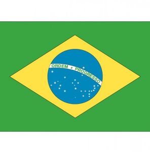 Kleine Brazilie vlaggen stickers