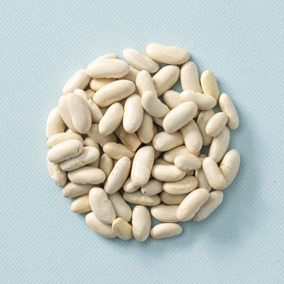 Witte bonen medium (bio) 400 gram Witte bonen medium (bio) 400 gram