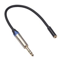 TC203NF03 6.35 mm male naar 3.5 mm Female audio kabel lengte: 0.3 m