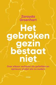 Het gebroken gezin bestaat niet - Zarayda Groenhart - ebook
