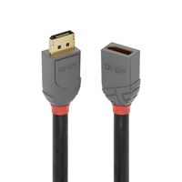 Lindy 36495 DisplayPort kabel 0,5 m Zwart