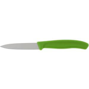 Victorinox SwissClassic 6.7606 Roestvrijstaal Schilmes