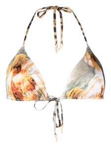 Roberto Cavalli haut de bikini à imprimé Icon - Marron