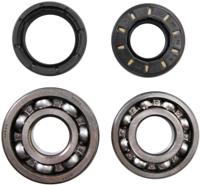 ALL BALLS Racing Crankshaft bearing set ab 24-1023 with simmerrings