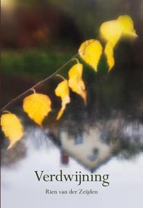 Verdwijning (Paperback)