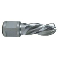 Holle boor RUKO 10 mm Weldon