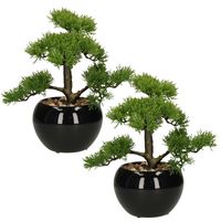 Set van 2x stuks atmosphera bonsai in keramische pot 36 cm