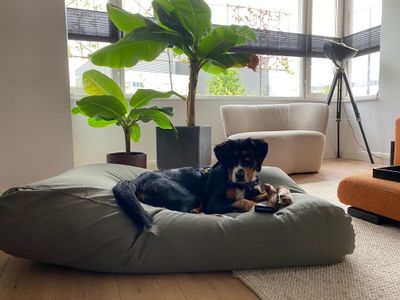 Dog's Companion® Hondenbed basalt superlarge