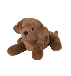 Labrador puppy