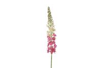 Eremurus kunststof 5x6x105 cm roze Countryfield - Countryfield