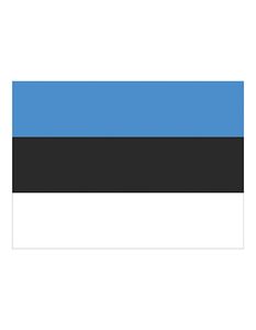 Printwear FLAGEE Flag Estonia