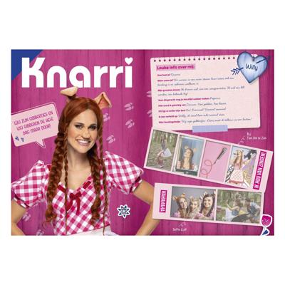 Studio 100 k3: 3 biggetjes fanboek met stickers