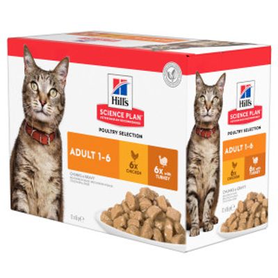 Hill&apos;s Adult Poultry Selection combipack kip & met kalkoen nat kattenvoer 2 dozen (24 x 85 g)