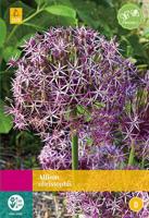 Allium christophii bloembollen 15 bollen Sierui JUB - Jub