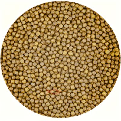 Vivani Grower 6mm Professionele Vijvervoeding - Volledige Voer Mix in 5L Emmer