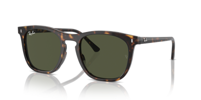 Zonnebril Ray-Ban 0RB2210-902/31 53 Havana Green