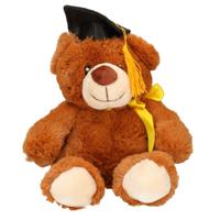 Pia Soft Toys Geslaagd thema cadeau beer - bruin - 20 cm - Pluche