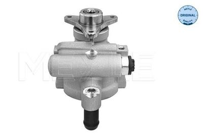 Servo pomp 16166310006