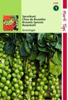 Spruitkool Groninger - Hortitops