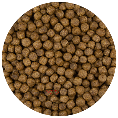 Pond Pro Koivoer - 6mm Pellets voor Gezonde Groei & Stralende Huid - 5kg Pakket