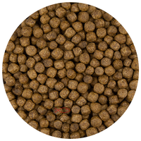 Pond Pro Koivoer - 6mm Pellets voor Gezonde Groei & Stralende Huid - 5kg Pakket