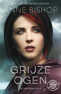 Grijze ogen (Paperback)