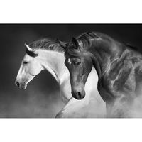 Inductiebeschermer - Twee Paarden - 83x52 cm