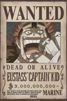 Poster One Piece - Poster Wanted Kid Wano 38x52cm