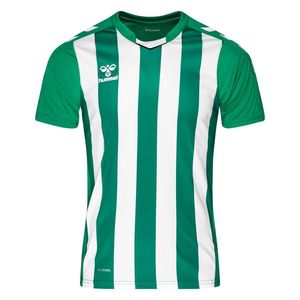 Hummel Voetbalshirt Core Striped - Groen/Wit Kinderen