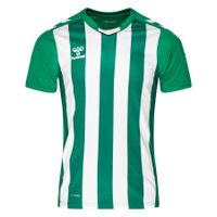 Hummel Voetbalshirt Core Striped - Groen/Wit Kinderen - thumbnail